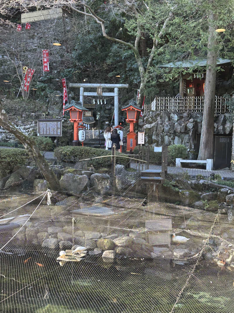 のっぴー🎶VH5150さんの箱根湯本温泉 天成園のサ活写真