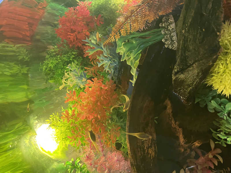 YOKさんのウェルビー福岡のサ活写真