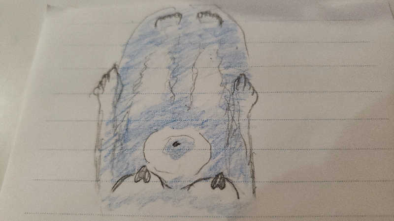 じゃぐポテトさんのOMO7旭川(おも) by 星野リゾート サウナプラトーのサ活写真