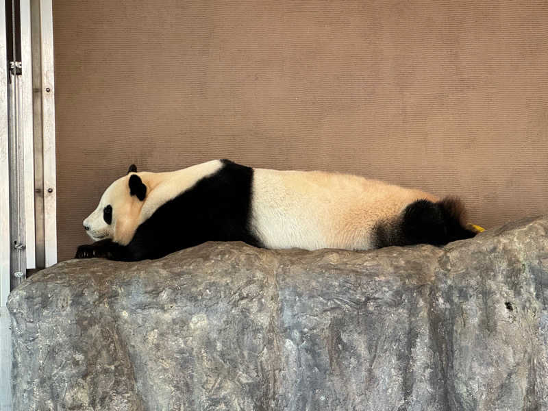 ピケさんのとれとれの湯のサ活写真