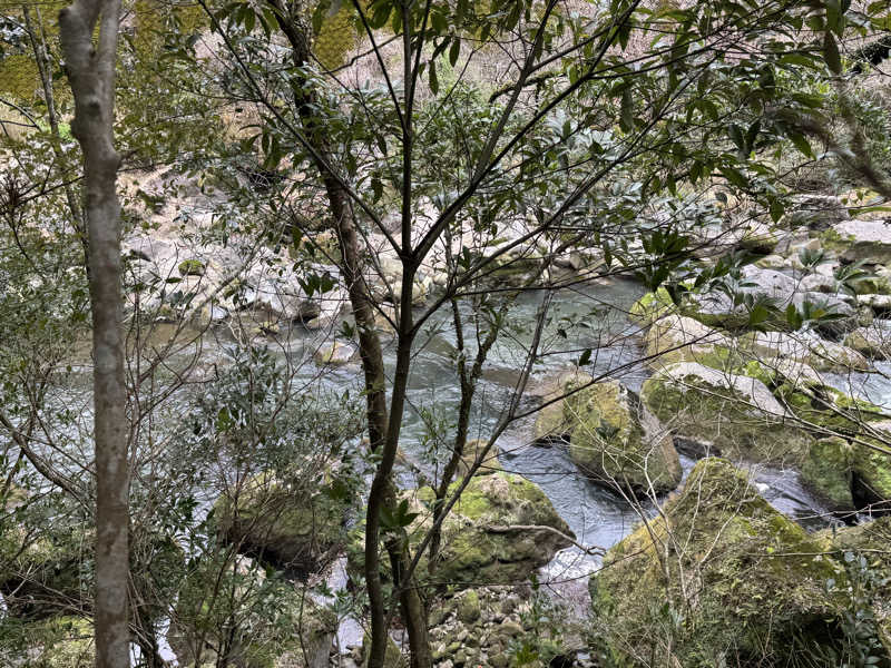 ピケさんの妙見温泉 妙見石原荘のサ活写真