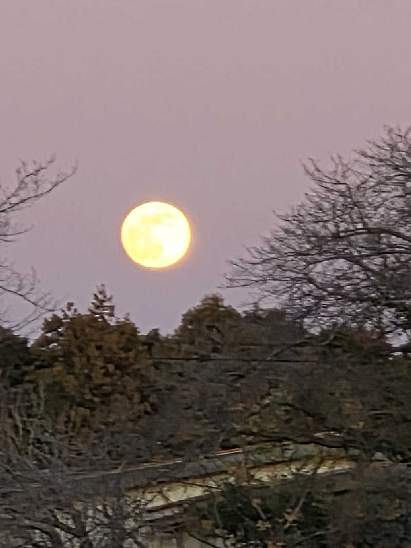 キミィさんの東京湯楽城のサ活写真