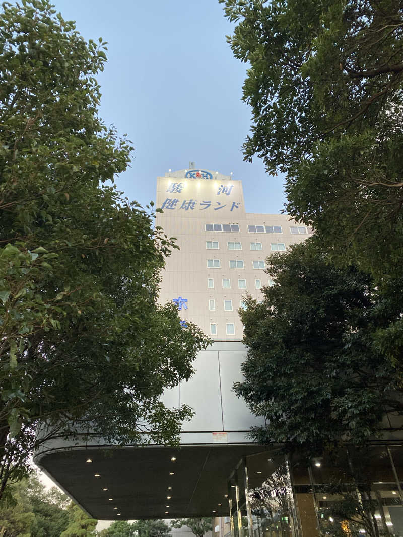 とりもちさんの駿河健康ランドのサ活写真