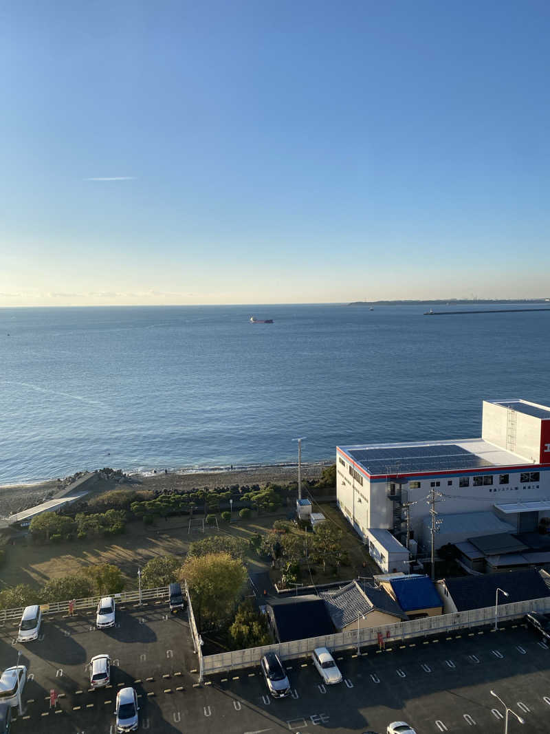 とりもちさんの駿河健康ランドのサ活写真