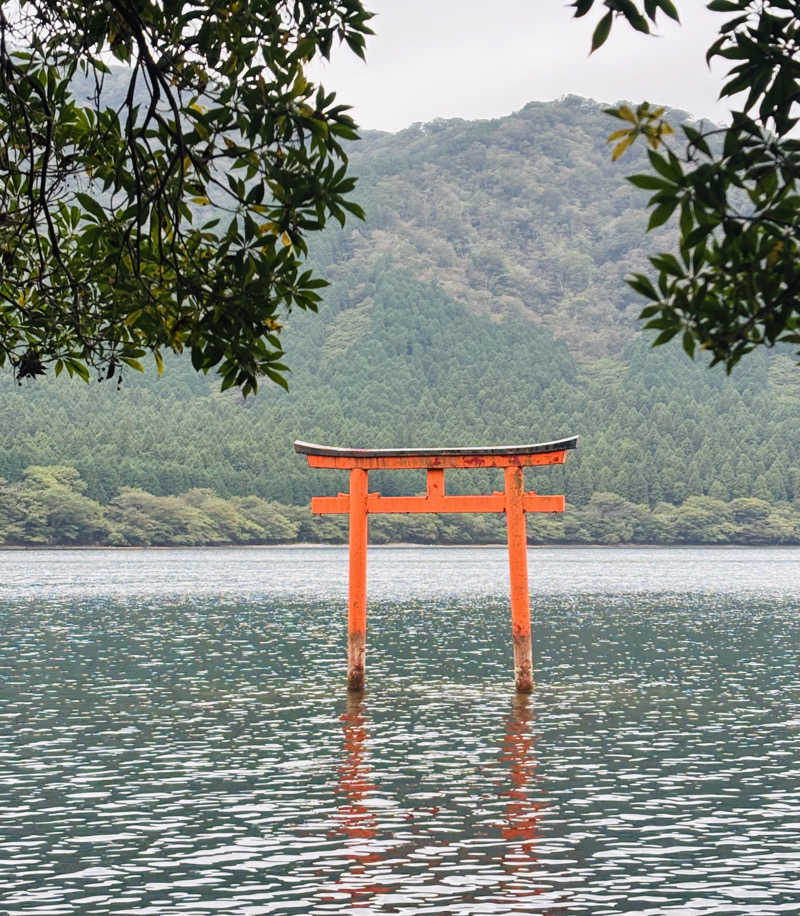 nopposan187さんの箱根 絶景日帰り温泉 龍宮殿本館のサ活写真