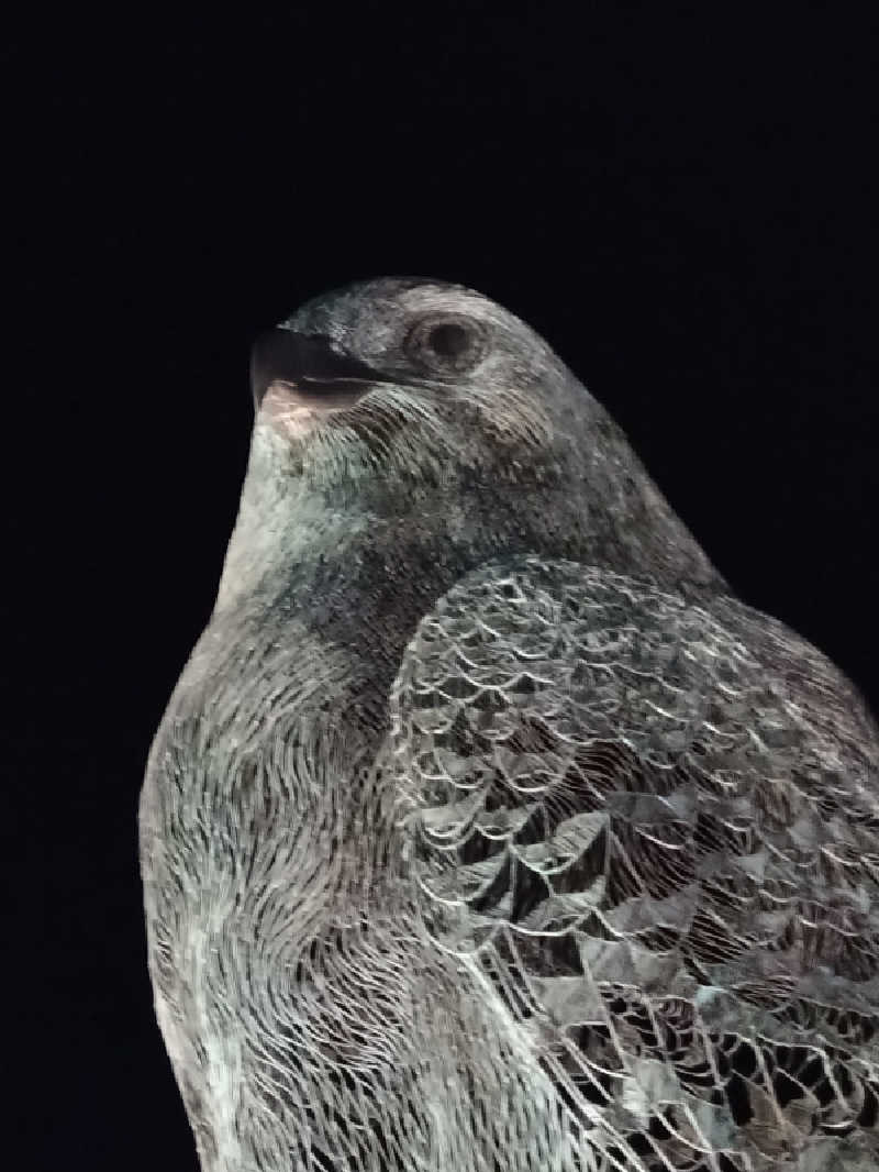 saunner 1さんのおけと勝山温泉ゆぅゆのサ活写真