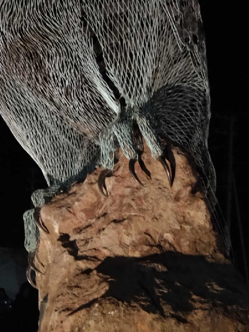 saunner 1さんのおけと勝山温泉ゆぅゆのサ活写真