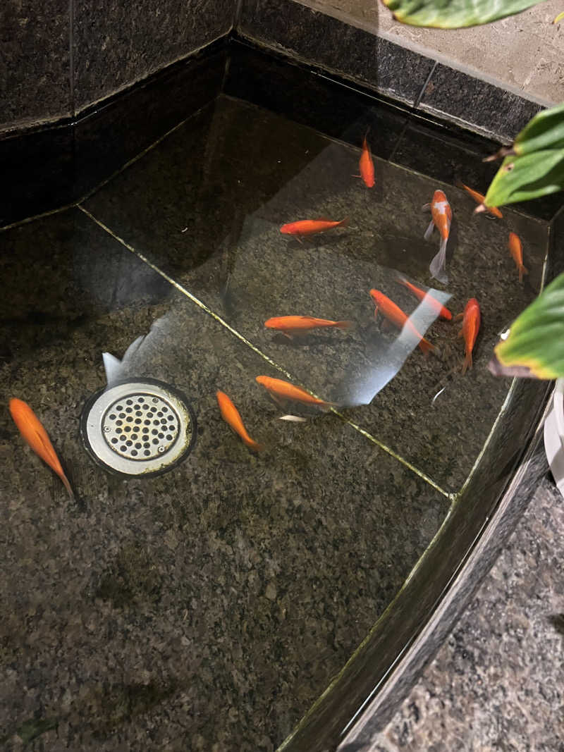 サウナさんの美白の湯宿 大江本家のサ活写真