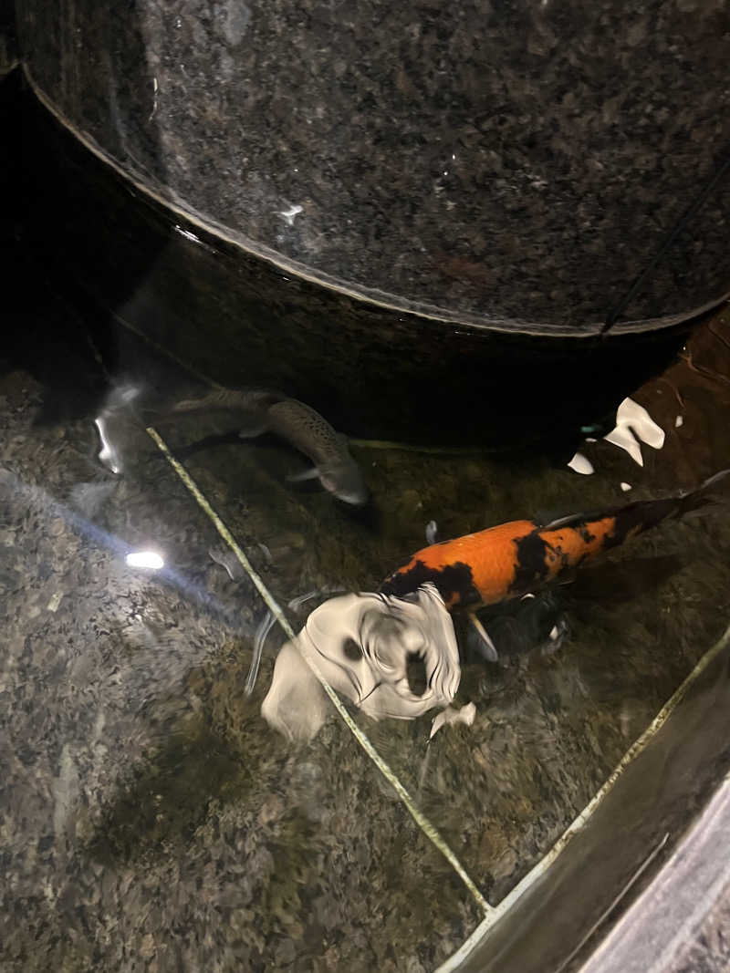 サウナさんの美白の湯宿 大江本家のサ活写真