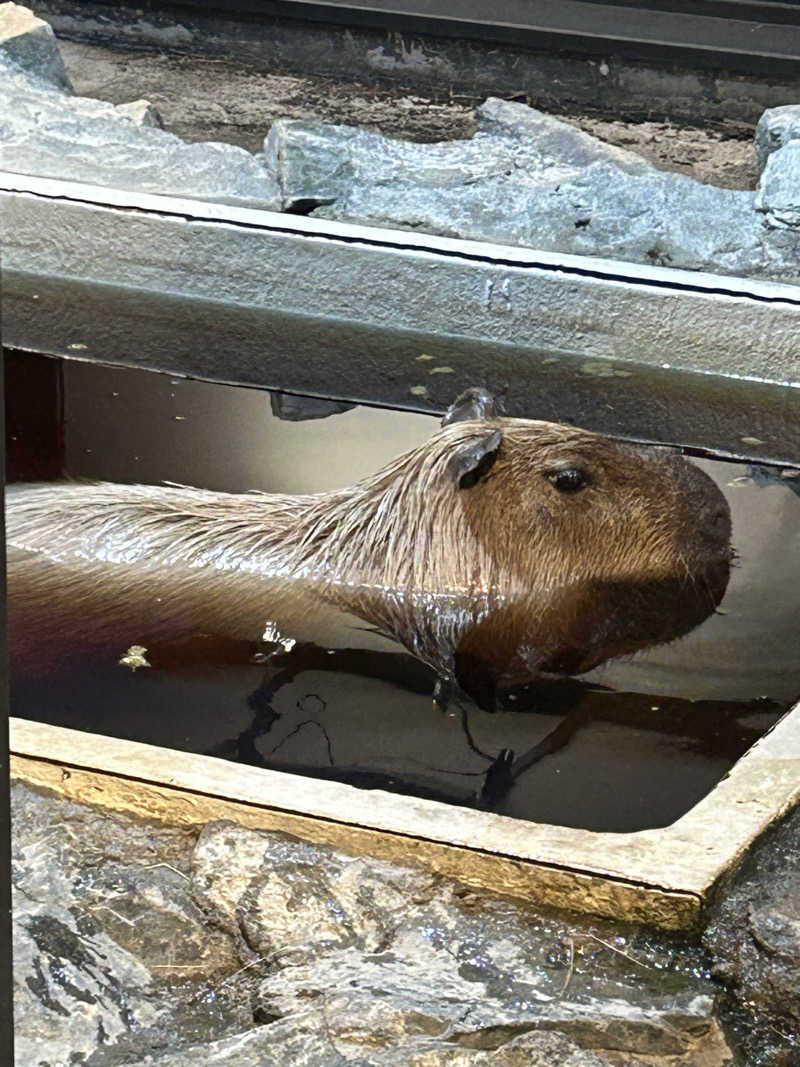 水冷人間（〇〇ゲルマ）さんの石狩天然温泉 番屋の湯のサ活写真