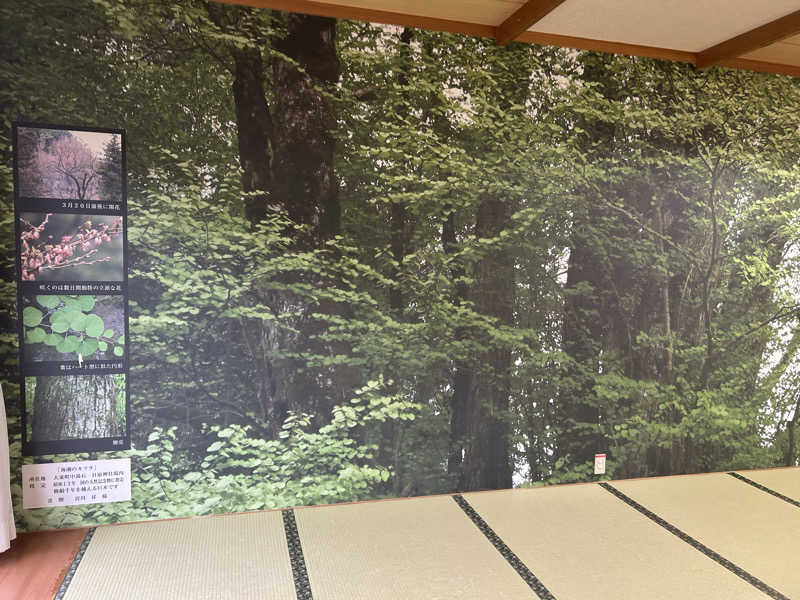 蒸しメガネさんの桂荘のサ活写真