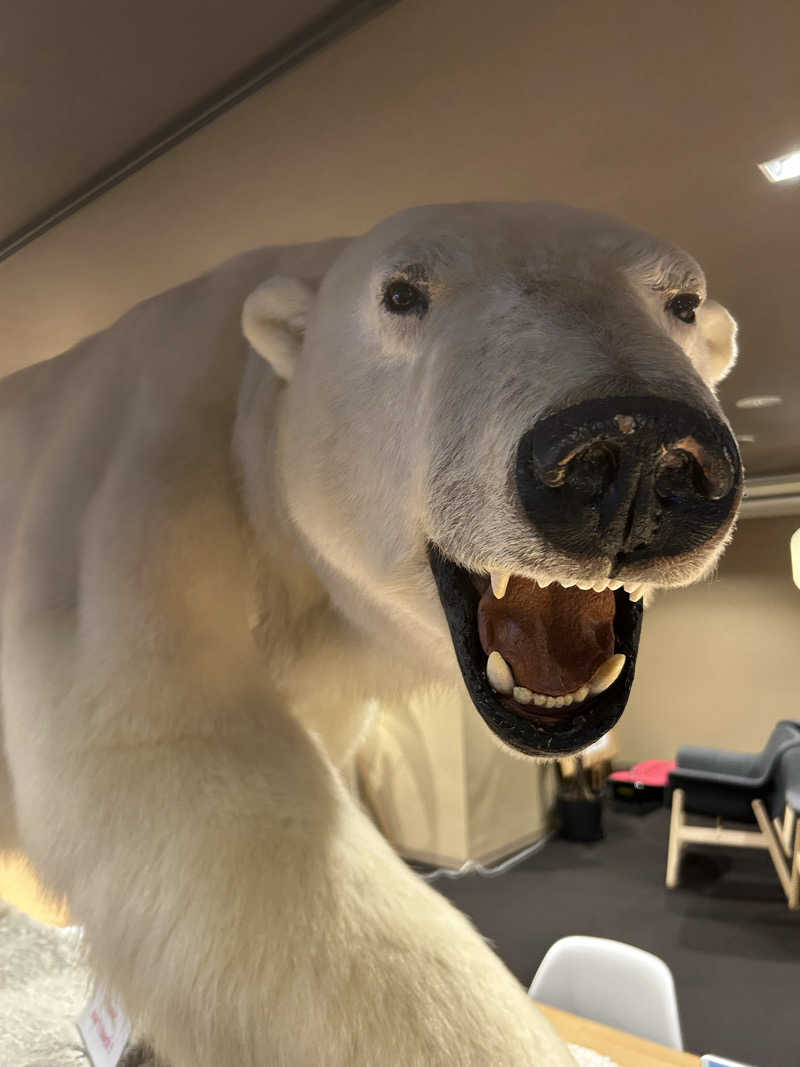 蒸しメガネさんの広島カプセルホテル&サウナ岩盤浴 ニュージャパンEXのサ活写真