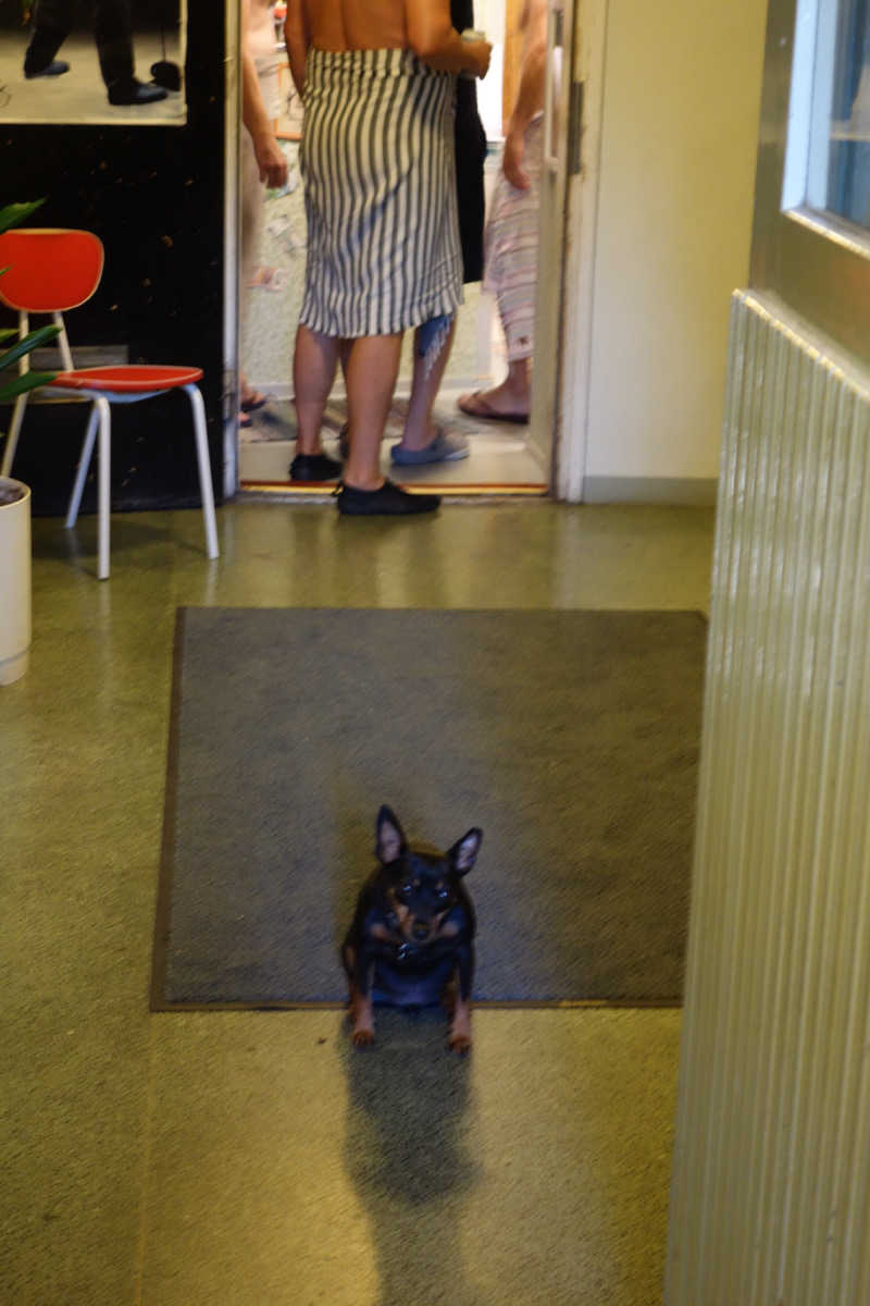 yu_riさんのSauna Hermanniのサ活写真