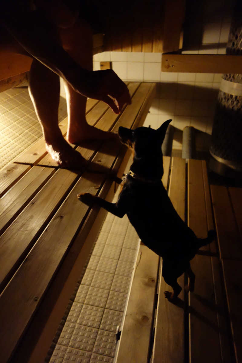 yu_riさんのSauna Hermanniのサ活写真