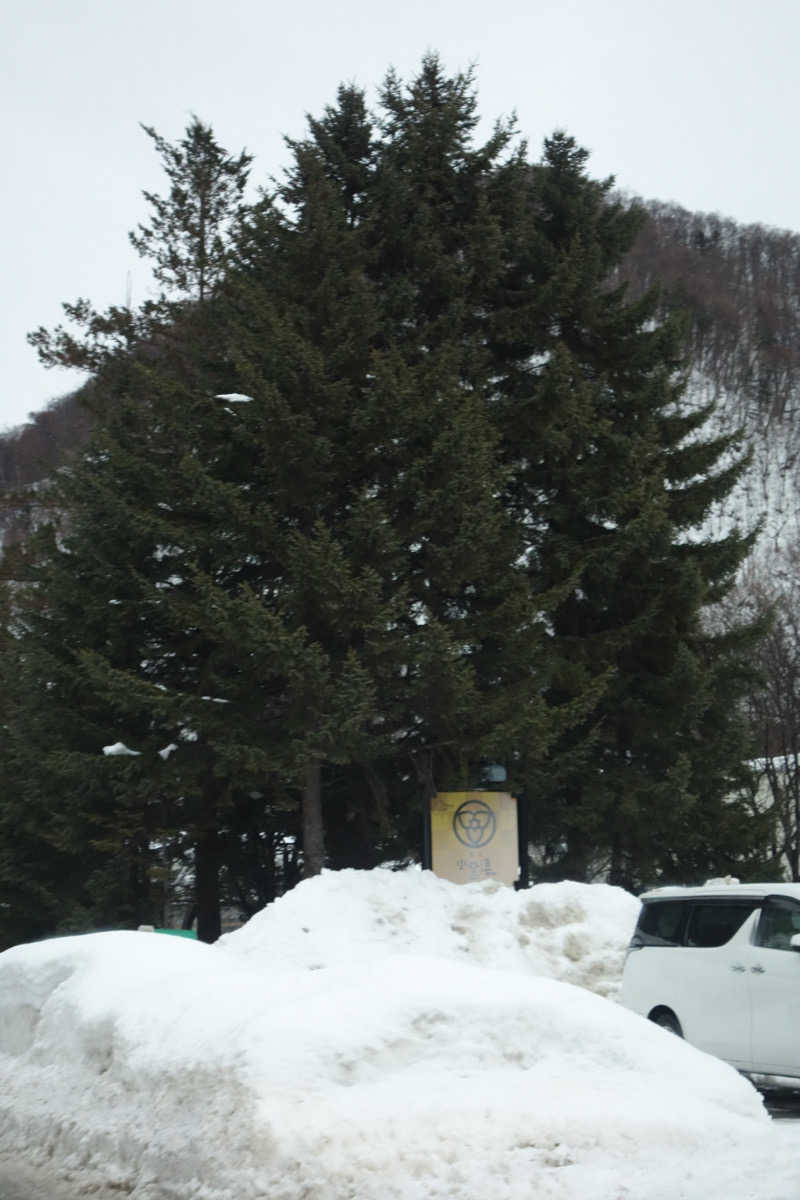 yu_riさんの小金湯温泉 湯元 小金湯のサ活写真