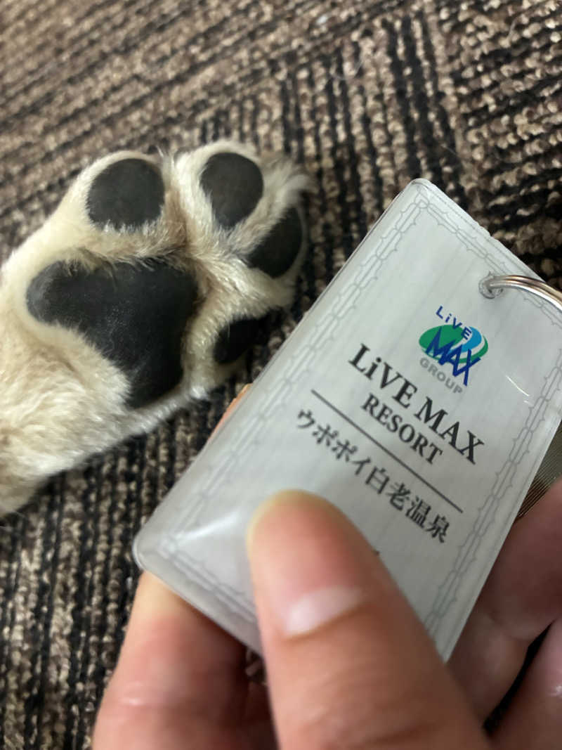 番茶デストロフィーライムさんのリブマックスリゾート ウポポイ白老温泉のサ活写真
