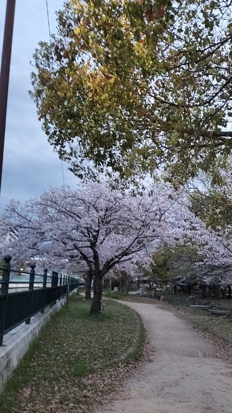 イケメン蒸し子さんの天然温泉 蓬莱湯のサ活写真