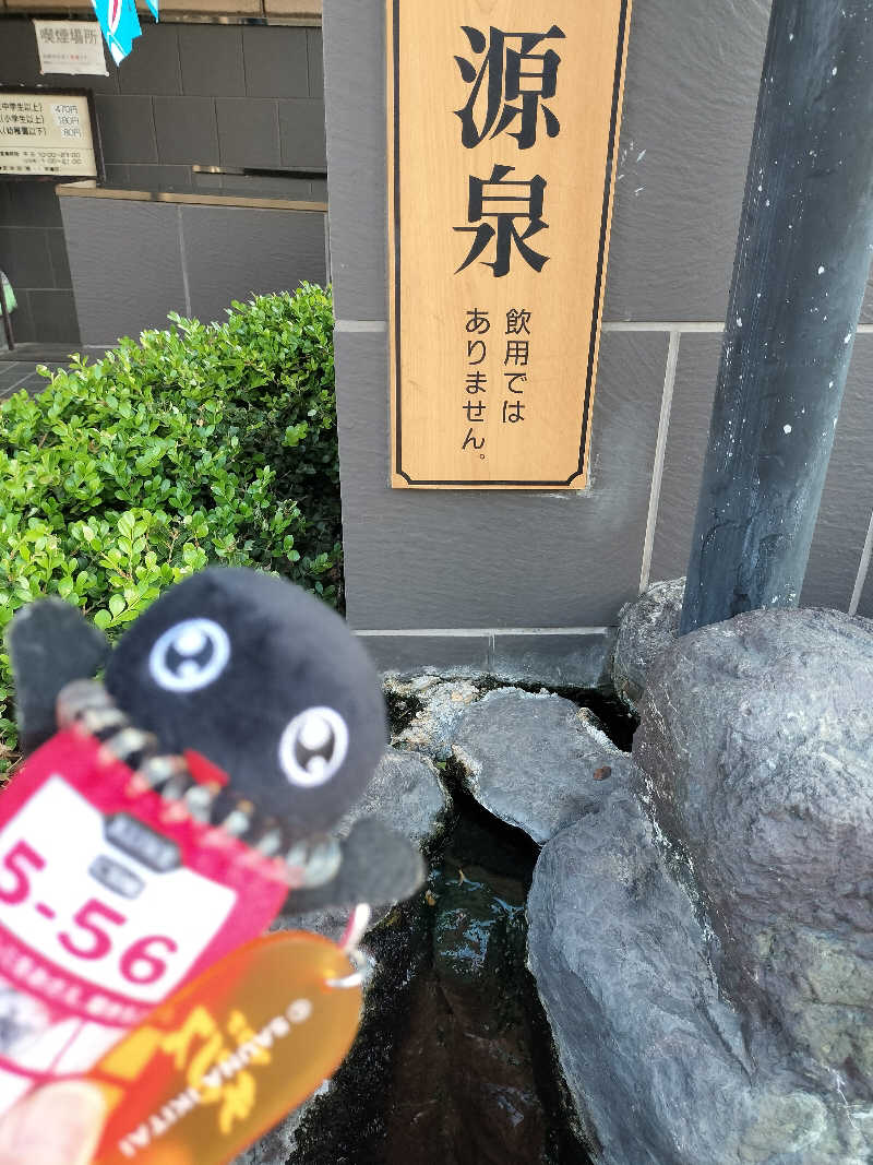 イケメン蒸し子さんの湯あそびひろば 元湯･天然温泉 築地戎湯のサ活写真