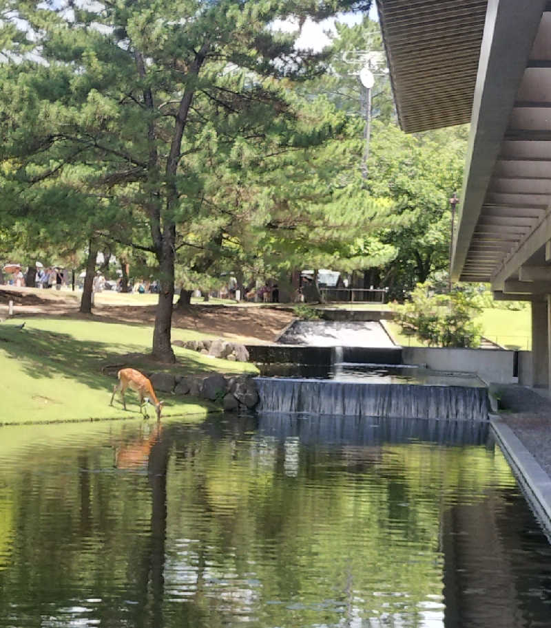 イケメン蒸し子さんのゆららの湯 奈良店のサ活写真