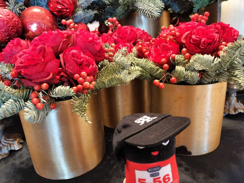 イケメン蒸し子さんのリーベルホテル大阪のサ活写真