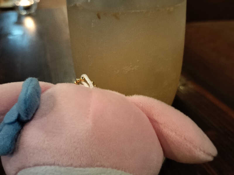 本気のジンジャーエール