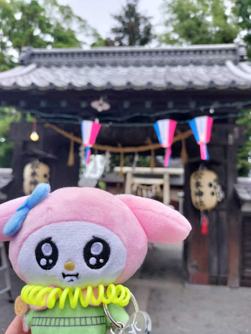 イケメン蒸し子さんの梓の湯 ドーミーイン松本のサ活写真