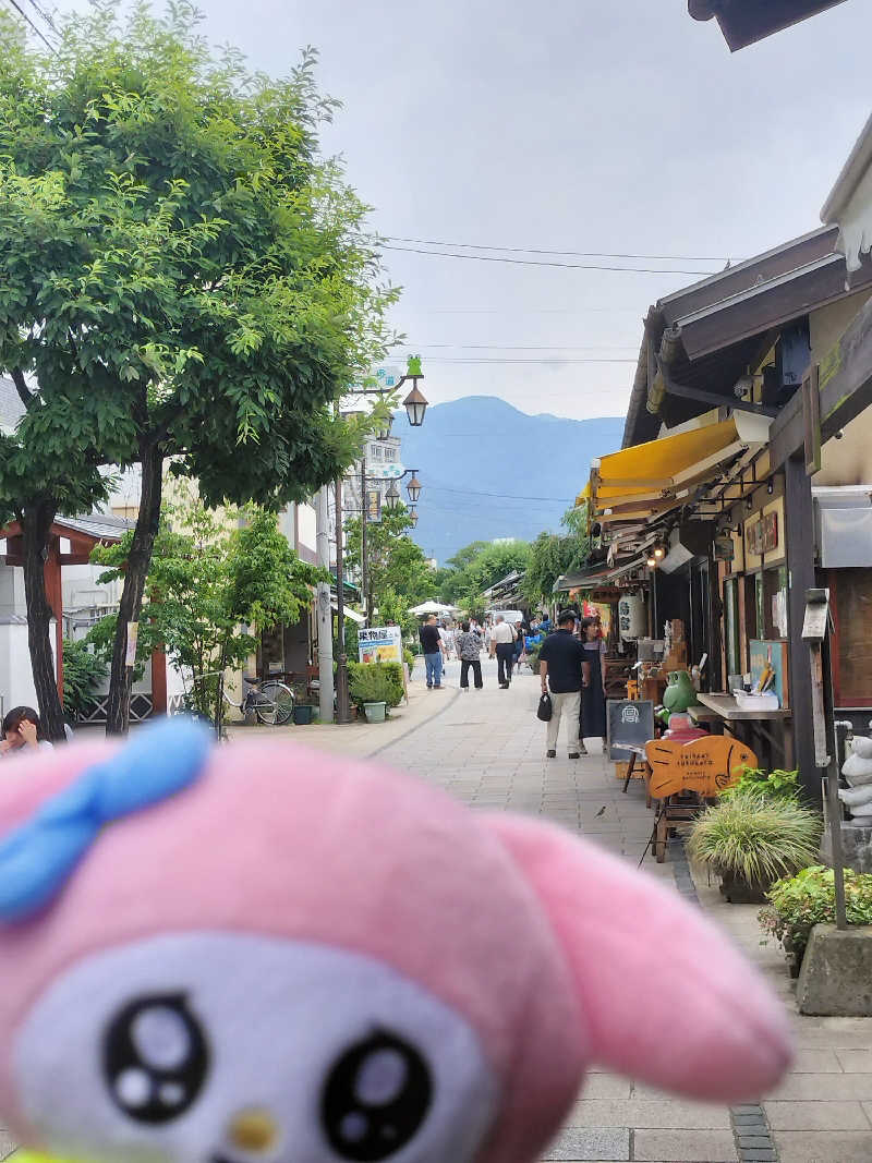 イケメン蒸し子さんの梓の湯 ドーミーイン松本のサ活写真
