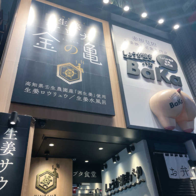 m **さんの生姜サウナ 金の亀のサ活写真