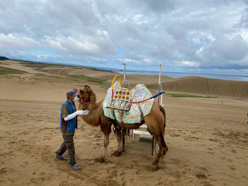 にわかサウナーさんの鳥取ぽかぽか温泉のサ活写真