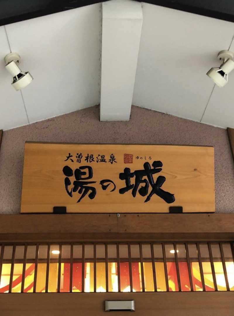 タジーさんの大曽根温泉 湯の城のサ活写真