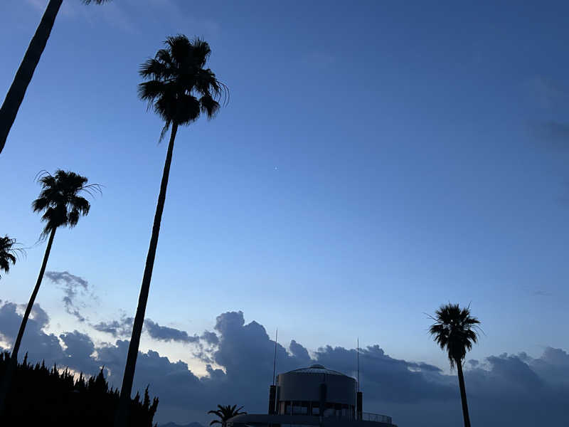 BAT64さんの野田の湯 やすらぎ荘のサ活写真