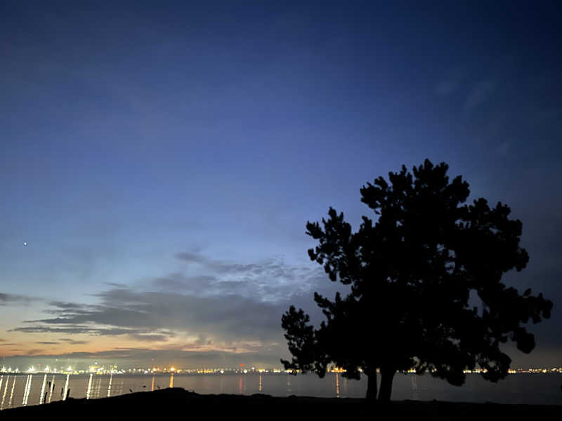 BAT64さんの新宮温泉 ふくの湯のサ活写真