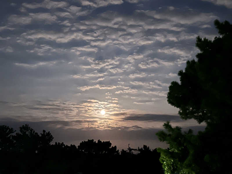 BAT64さんのサウナヨーガン福岡天神のサ活写真