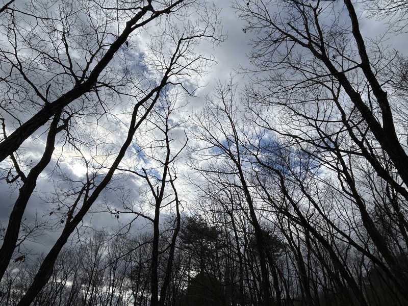 BAT64さんの森のサウナ kaveri(カベリ)-エンゼルフォレスト白河高原のサ活写真