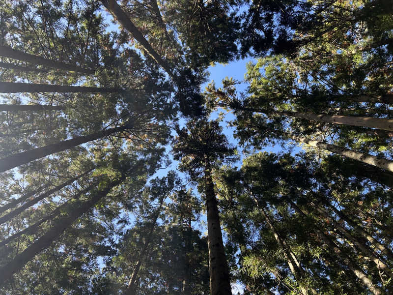 BAT64さんのJUURI SAUNA(ユーリサウナ)のサ活写真