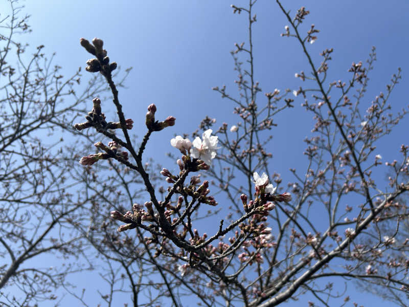 BAT64さんの日田温泉 ととの湯(はなの樹 RIVER TERRACE)のサ活写真