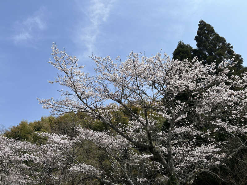 BAT64さんの日田温泉 ととの湯(はなの樹 RIVER TERRACE)のサ活写真
