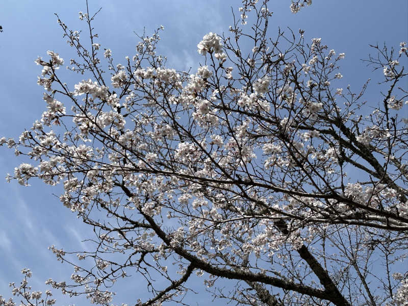 BAT64さんの日田温泉 ととの湯(はなの樹 RIVER TERRACE)のサ活写真
