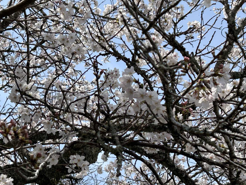 BAT64さんの日田温泉 ととの湯(はなの樹 RIVER TERRACE)のサ活写真