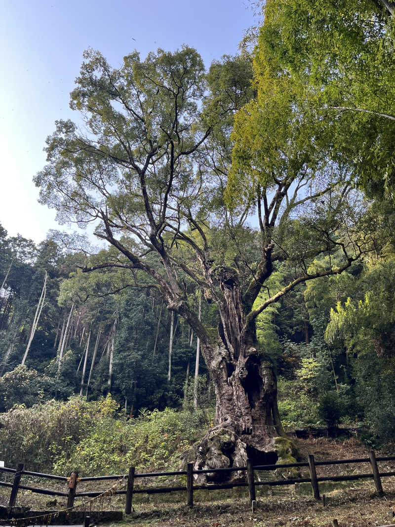 Stanleyさんの御船山楽園ホテル  らかんの湯のサ活写真