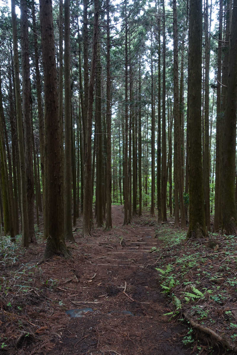 ○ 岡さんの秋山温泉のサ活写真