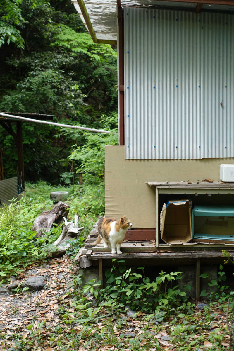 ○ 岡さんの秋山温泉のサ活写真