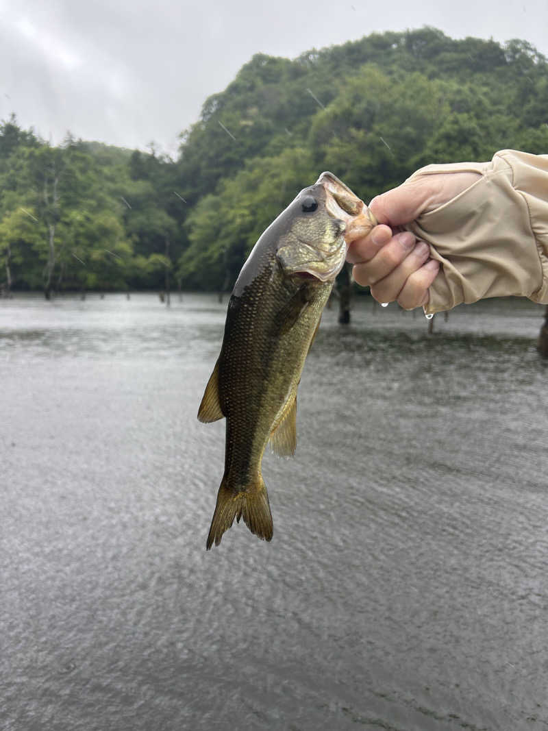 ぽ湯まるさんの天然温泉 湯舞音 袖ケ浦店のサ活写真