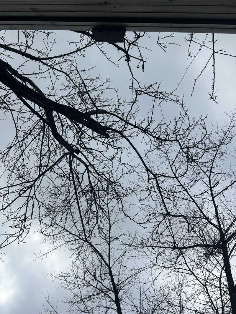 ぽ湯まるさんのSauna kota LEPOのサ活写真