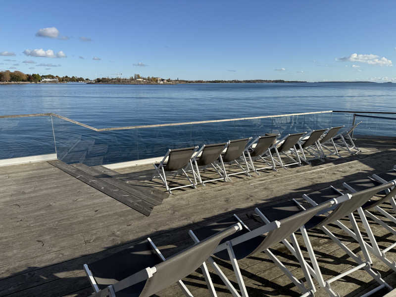 ちーきくさんのLöylyのサ活写真