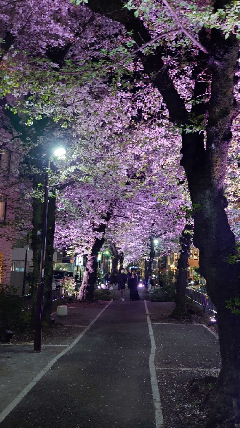 あるみさんの旭湯のサ活写真