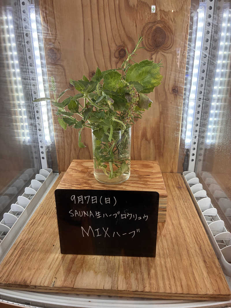 susumuさんの岐阜各務原 恵みの湯のサ活写真