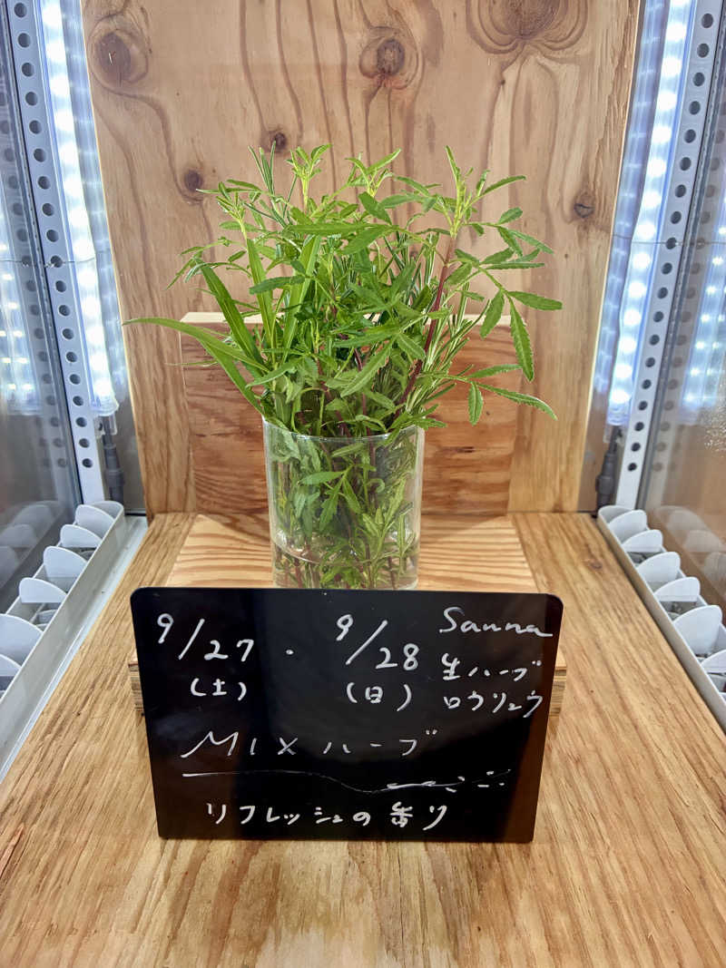 susumuさんの岐阜各務原 恵みの湯のサ活写真