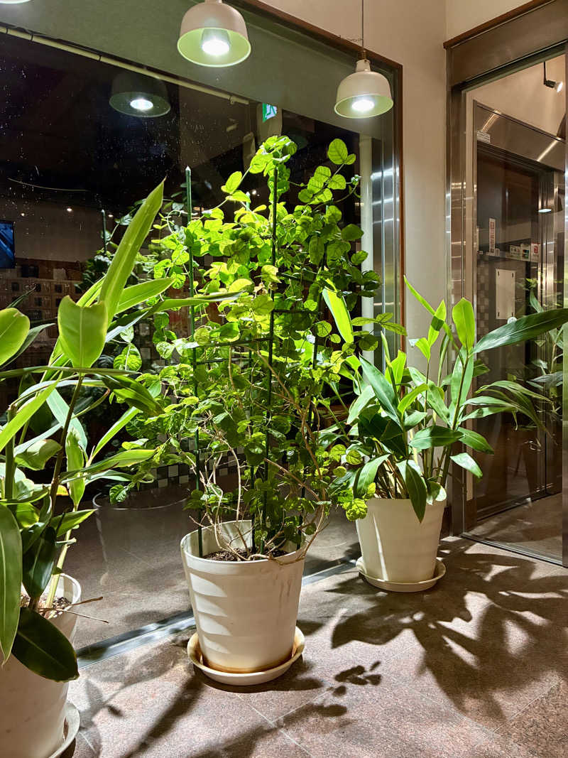 susumuさんの岐阜各務原 恵みの湯のサ活写真