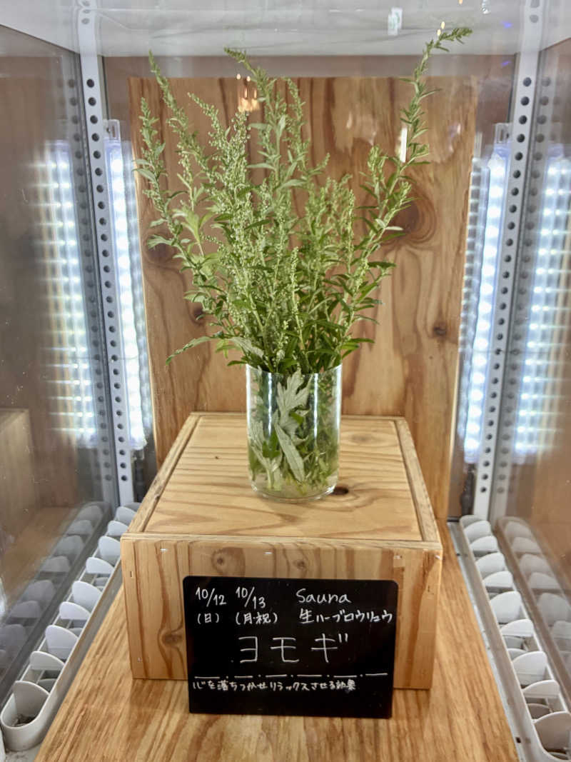 susumuさんの岐阜各務原 恵みの湯のサ活写真